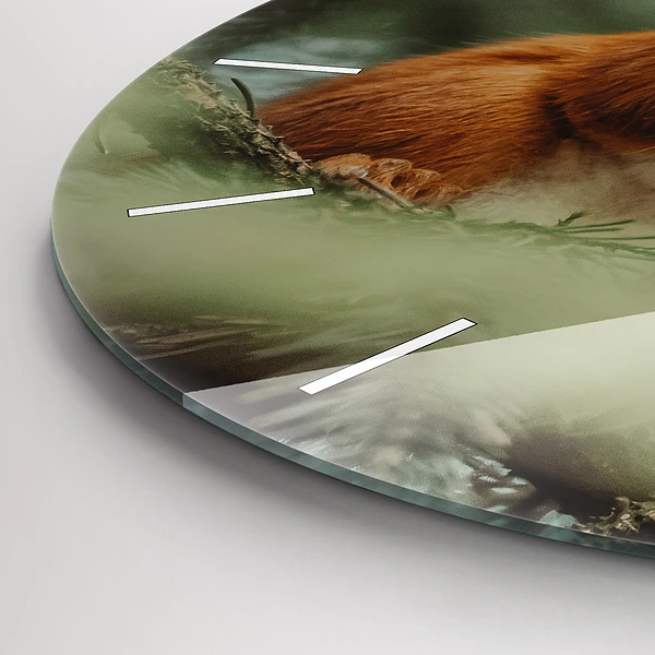 Wanduhr rund mit motiv Eichhörnchen und Wildtiere