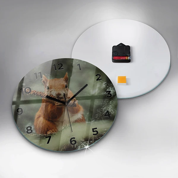 Wanduhr rund mit motiv Eichhörnchen und Wildtiere
