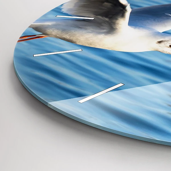 Wanduhr rund Seemöwen in Gdynia