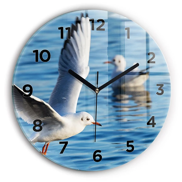 Wanduhr rund Seemöwen in Gdynia