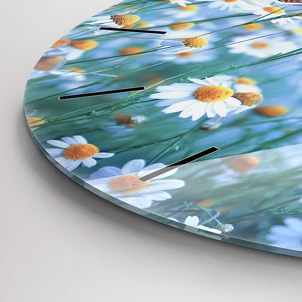 Wanduhr glas rund Schmetterling auf einer Wiese