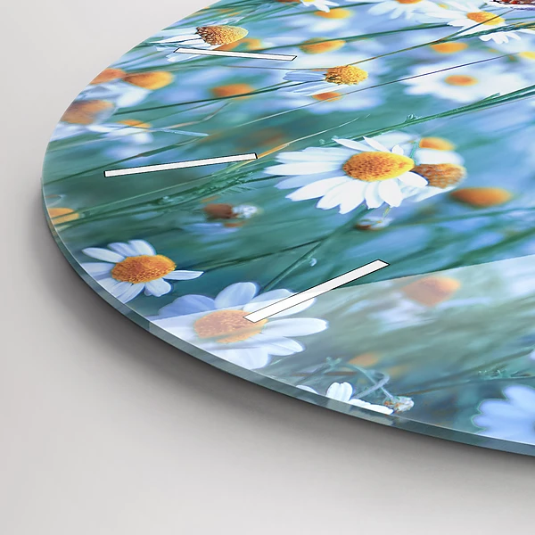 Wanduhr glas rund Schmetterling auf einer Wiese