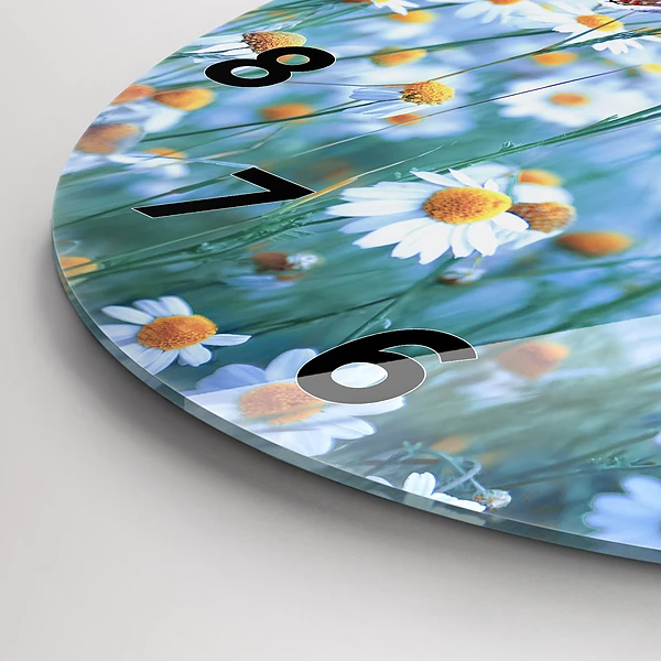 Wanduhr glas rund Schmetterling auf einer Wiese
