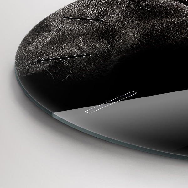 Wanduhr rund mit motiv Hund und schottische Katze