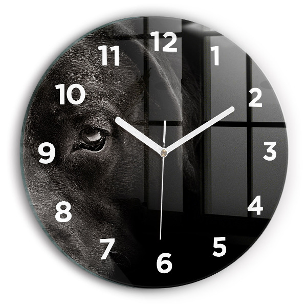 Wanduhr rund mit motiv Hund und schottische Katze